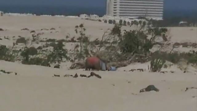 Kokybiškas :  Paauglys yra nuogas paplūdimyje Seksualu video 